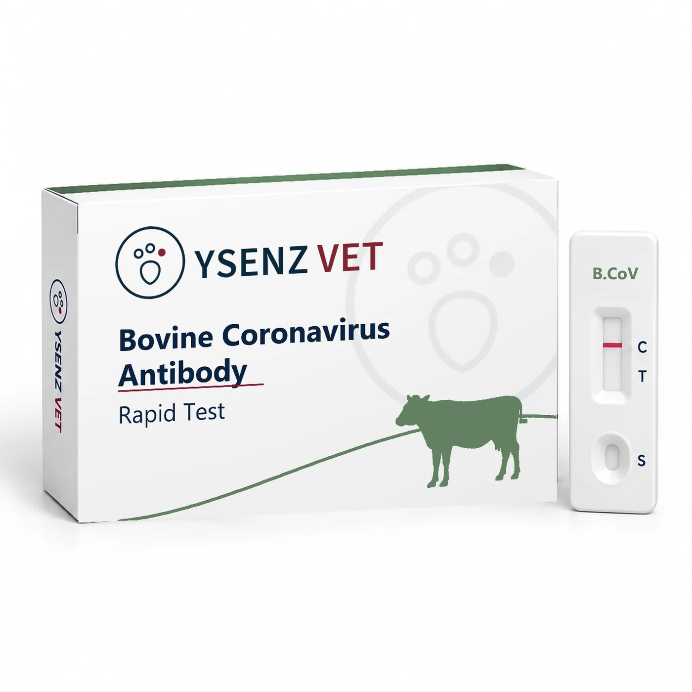 B.CoV Bovine Coronavirus Antibody