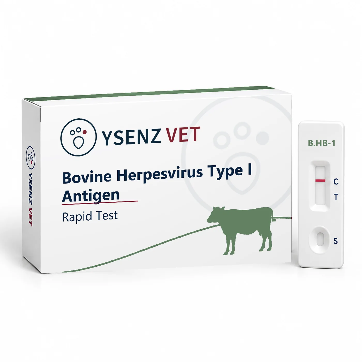 B.HB-1 Bovine Herpesvirus Type I Antigen