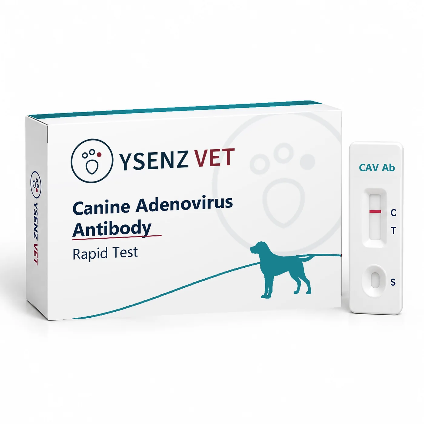 CAV Ab Canine Adenovirus Antibody