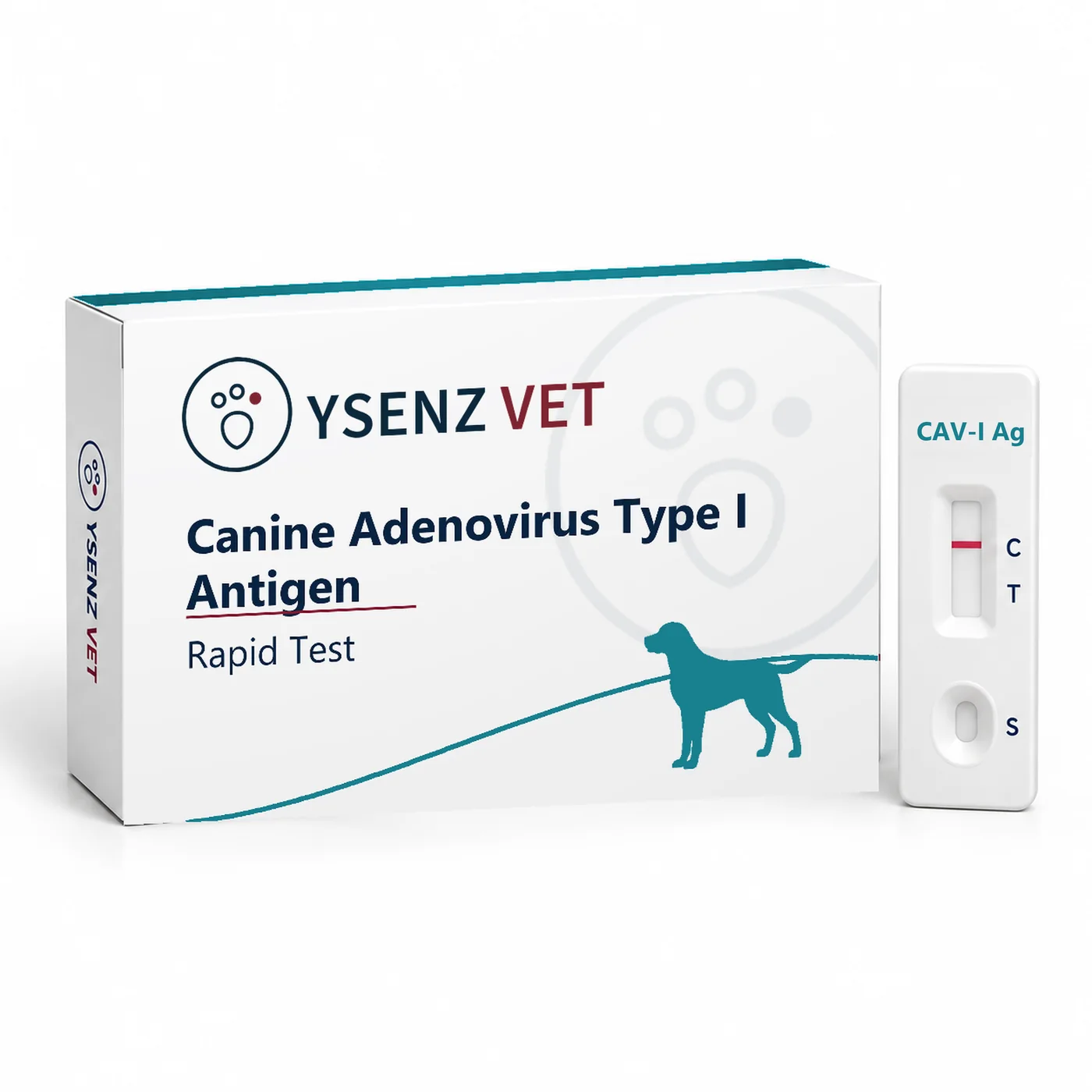 CAV-I Ag Canine Adenovirus Type I Antigen