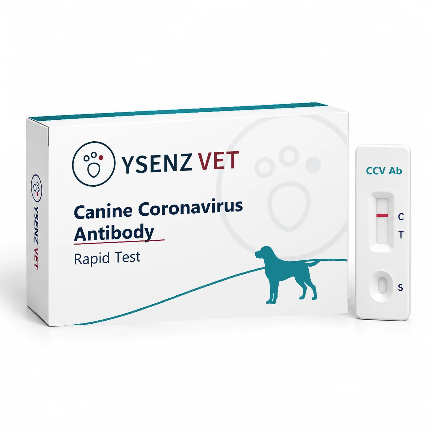 CCV Ab Canine Coronavirus Antibody