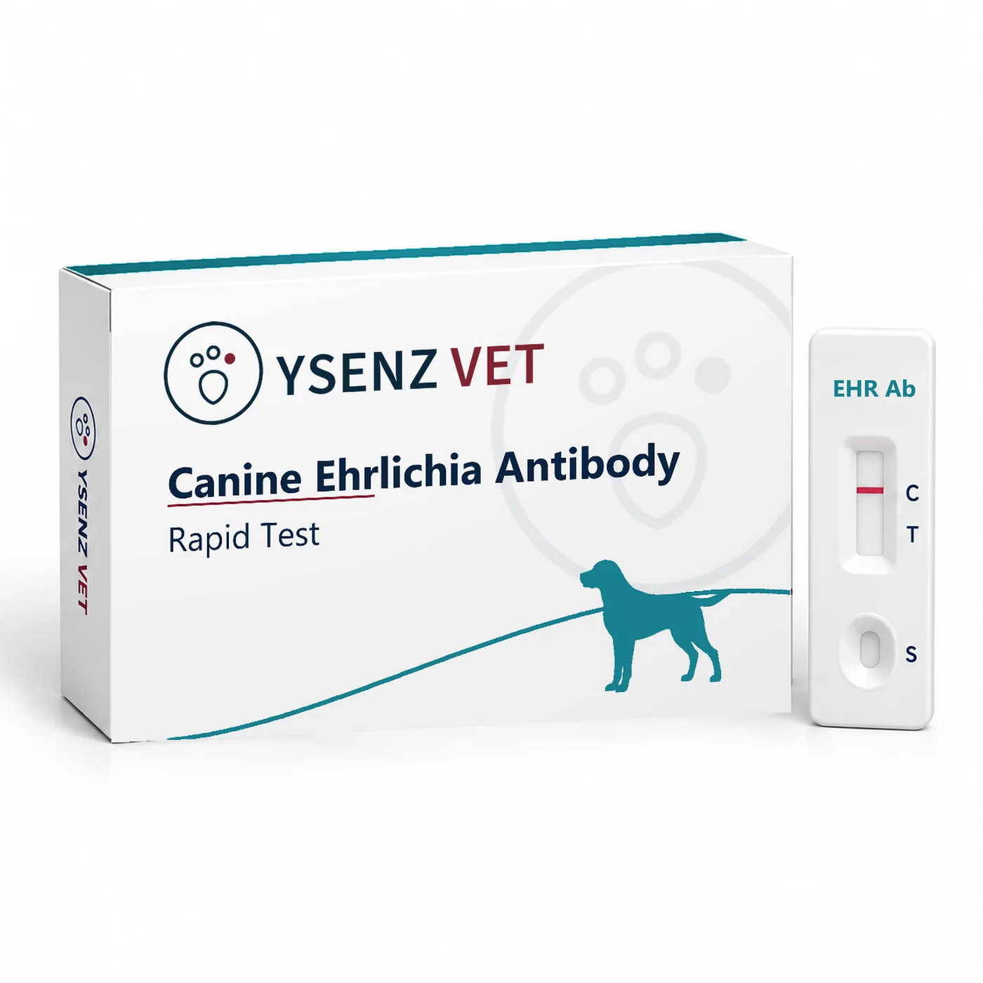 EHR Ab Canine Ehrlichia Antibody