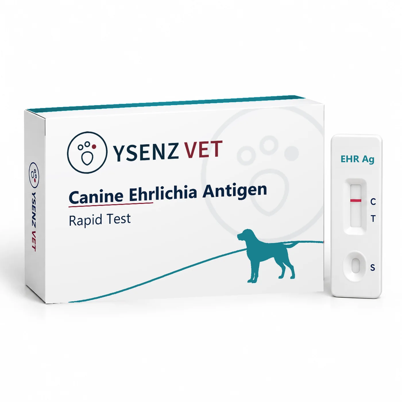 EHR Ag Canine Ehrlichia Antigen